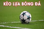 Tìm hiểu kèo lựa là gì?